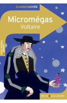 Micromégas