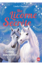 Ma licorne secrète - tome 2 comme dans un rêve