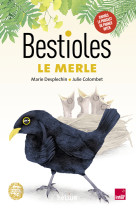 Bestioles - le merle