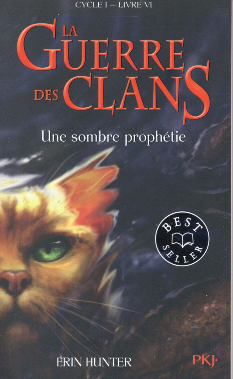 LA GUERRE DES CLANS - CYCLE I - TOME 6 UNE SOMBRE PROPHETIE -POCHE- - VOL06 - HUNTER ERIN - POCKET