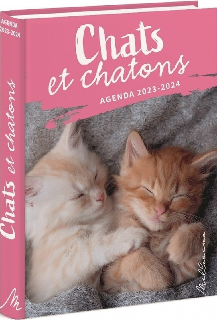 AGENDA CHATS ET CHATONS 2024-2025 - COLLECTIF - NC