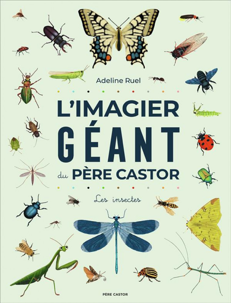 L'IMAGIER GEANT DU PERE CASTOR : LES INSECTES - RUEL  ADELINE - FLAMMARION