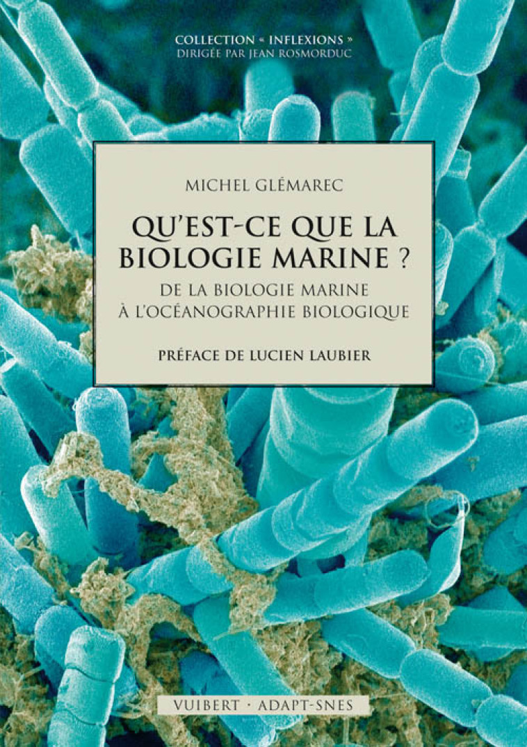 Qu'est-ce que la biologie marine ? - Glémarec Michel - DE BOECK SUP