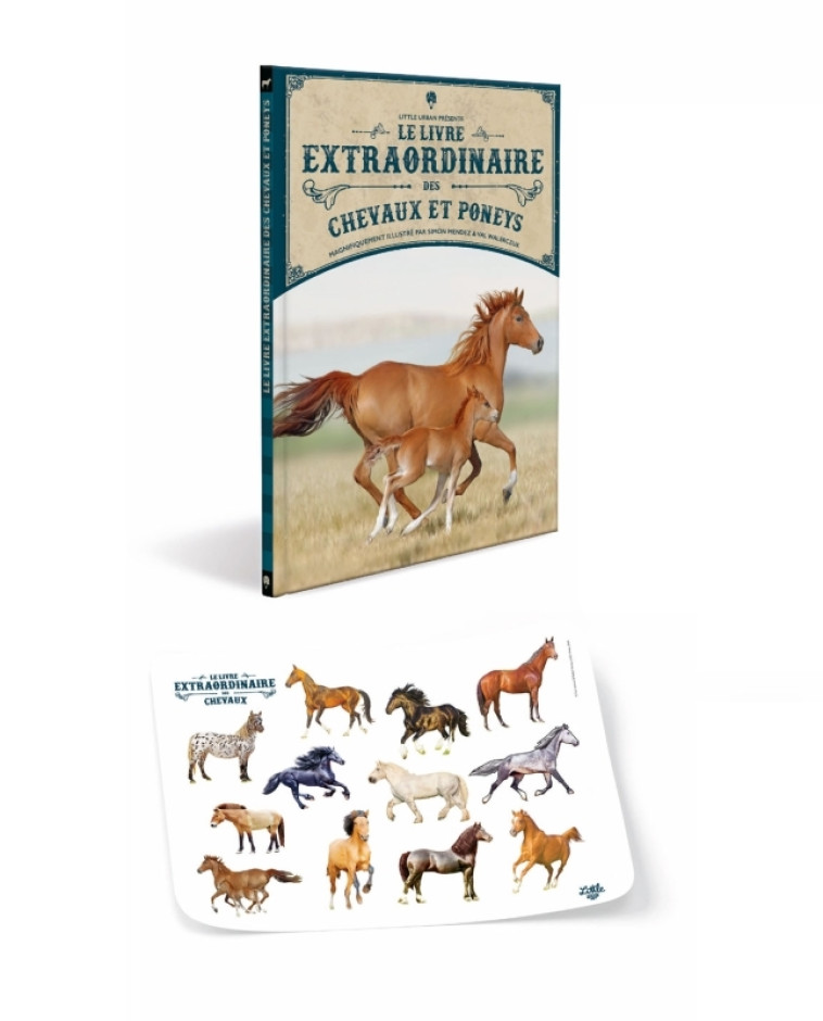 Le Livre extraordinaire des chevaux / Nouvelle édition (+ stickers) - WALERCZUK Val WALERCZUK Val, Mendez Simon Mendez Simon, Ferguson Diana Ferguson Diana, JACKSON Tom JACKSON Tom, WALERCZUK Val , Mendez Simon , Ferguson Diana , Jackson tom  - LITTLE URB