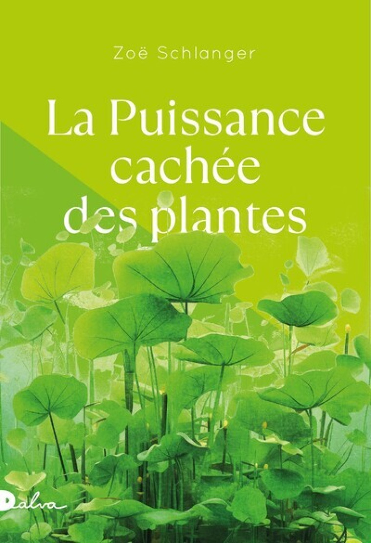 La Puissance cachée des plantes - Zoé SCHLANGER, Juliette Barbara, Abel Gerschenfeld, Anatole Muchnik - DALVA