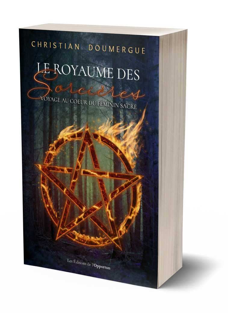 Le royaume des sorcières - Christian Doumergue  - OPPORTUN