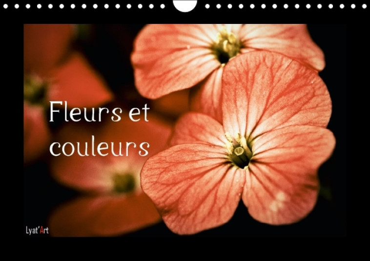 Fleurs et couleurs (Calendrier mural Calendrier perpétuel DIN A4 horizontal) - Arnaud LIATARD - CALVENDO