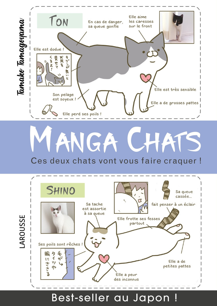 Manga chats -  TAMAKO-T - LAROUSSE