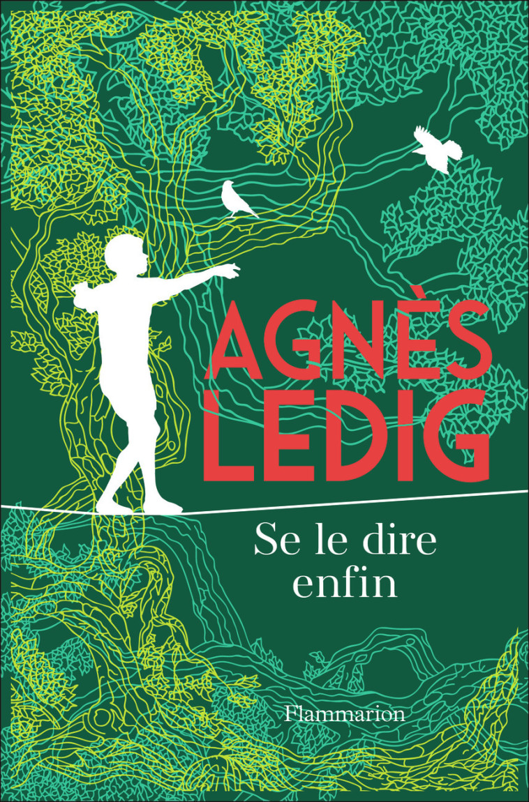 Se le dire enfin - Collector - Agnès Ledig - FLAMMARION