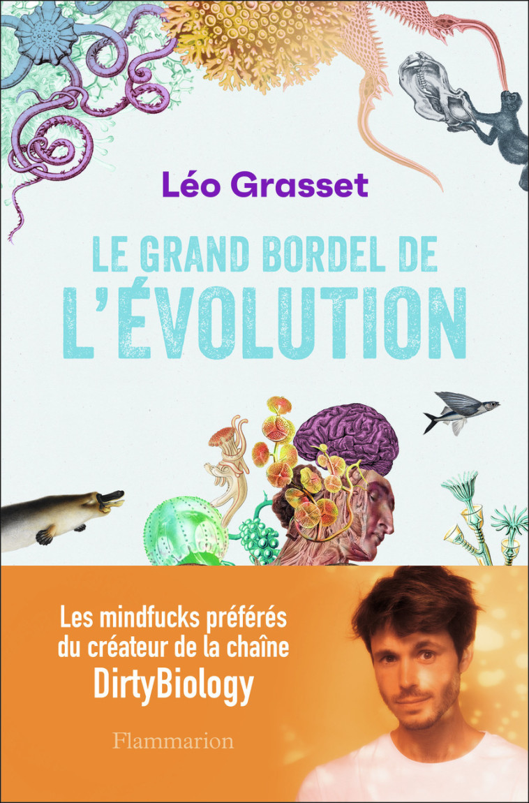 Le grand bordel de l'évolution - Léo Grasset - FLAMMARION