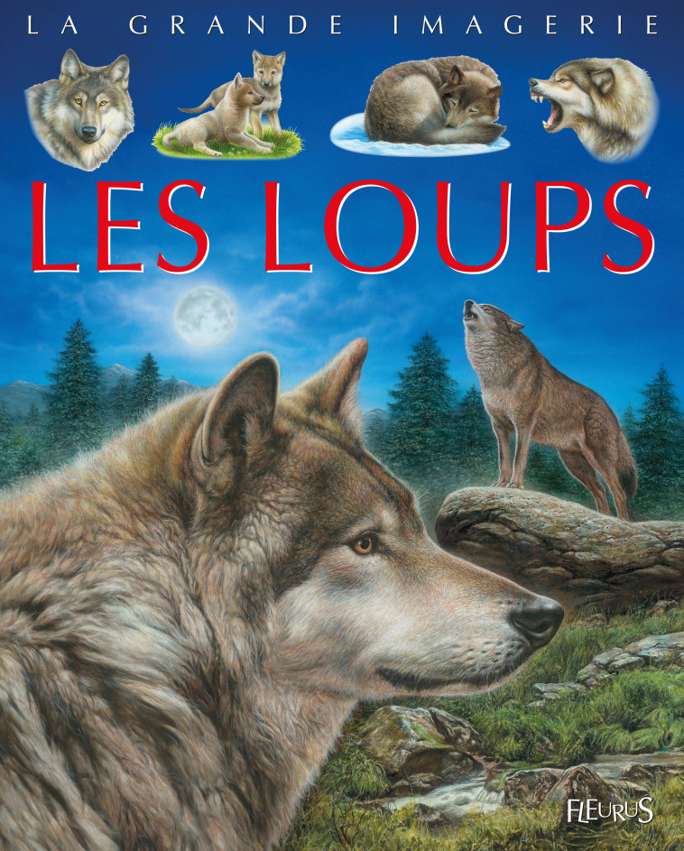 Les loups - Agnès Vandewiele - FLEURUS