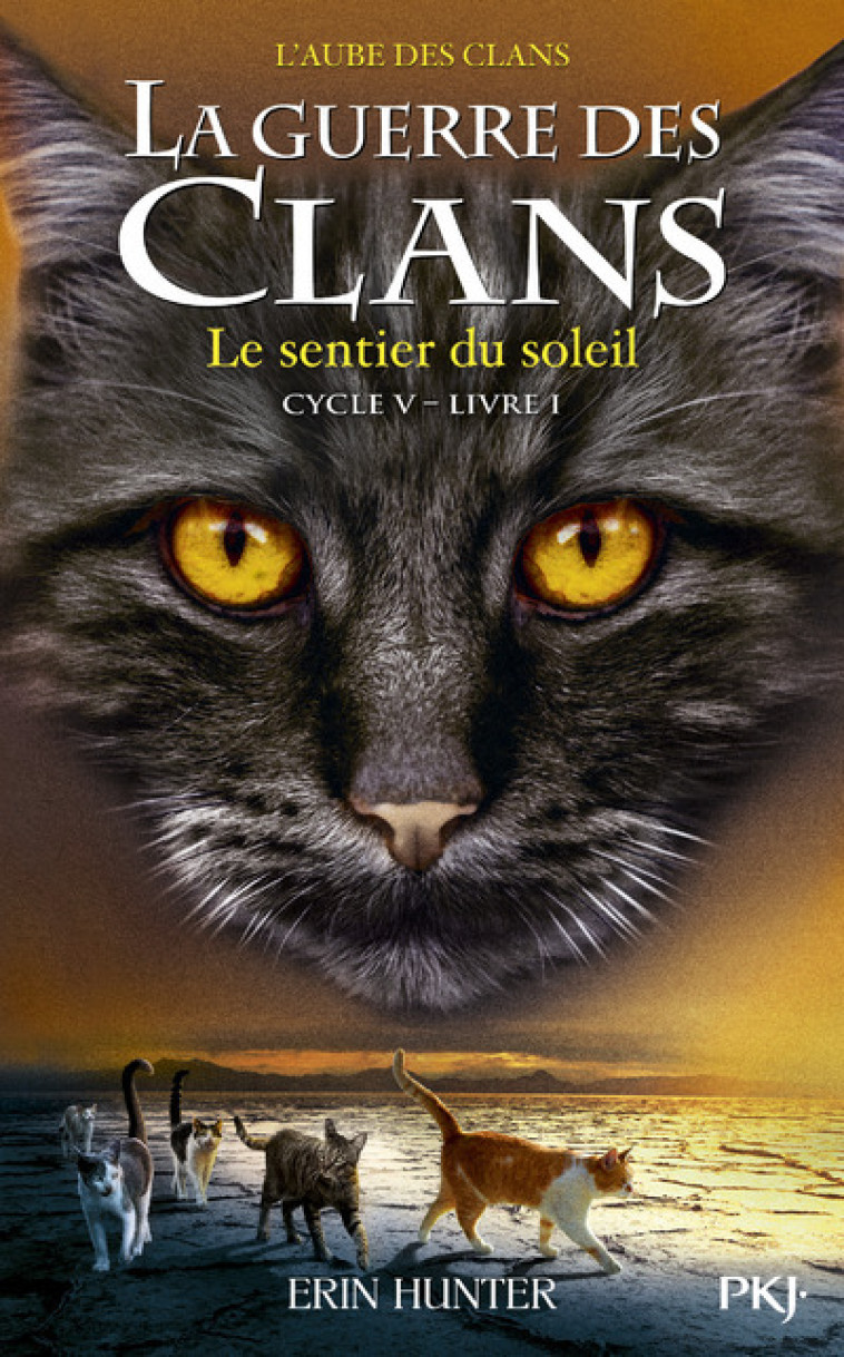 La guerre des Clans - cycle V L'aube des clans - tome 1 le sentier du soleil - Erin Hunter - POCKET JEUNESSE