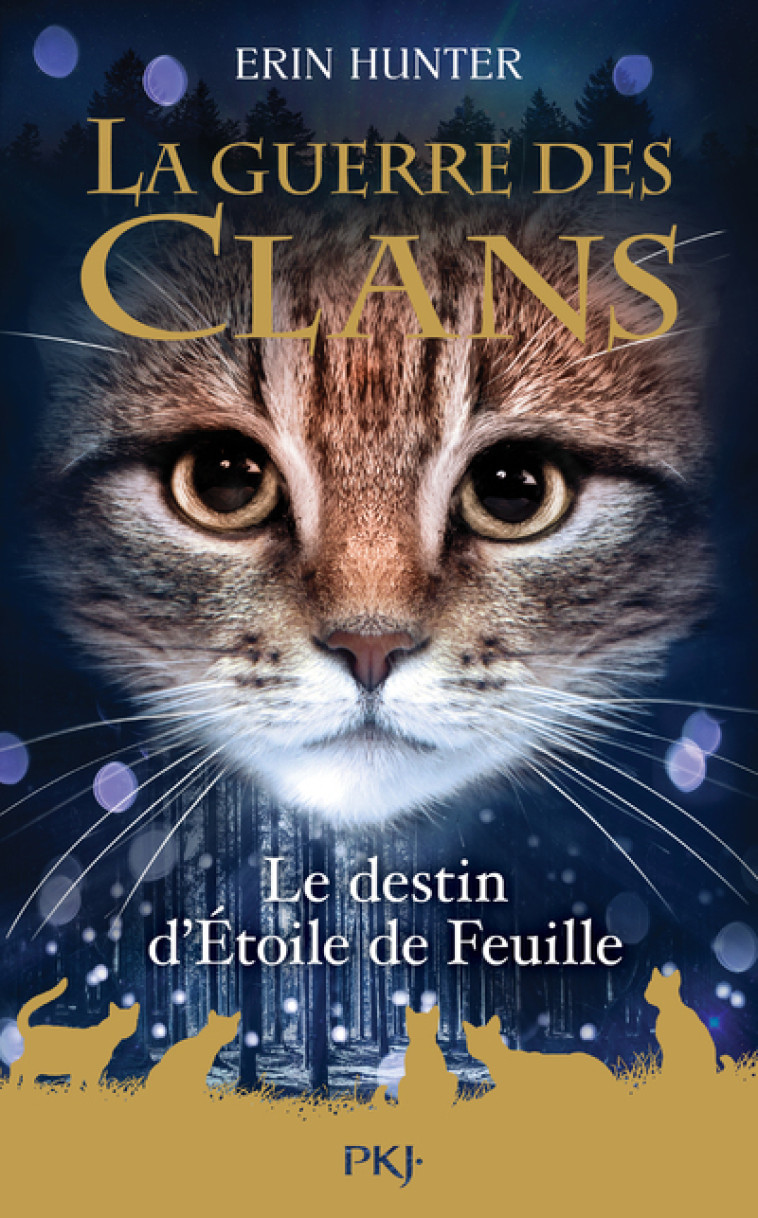 Guerre des Clans HS - tome 7 Le destin d'Etoile de Feuille - Erin Hunter - POCKET JEUNESSE