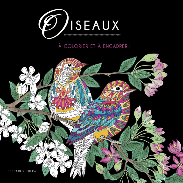 Oiseaux - XXX - DESSAIN TOLRA