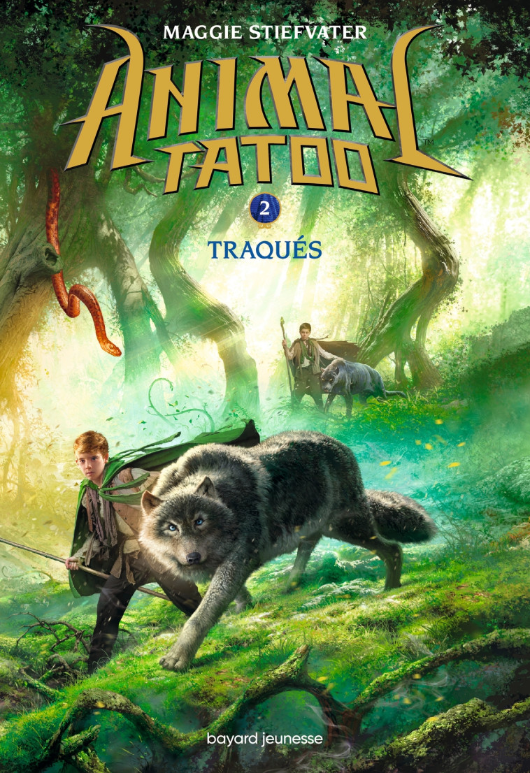 Animal Tatoo saison 1, Tome 02 - Maggie Stiefvater - BAYARD JEUNESSE